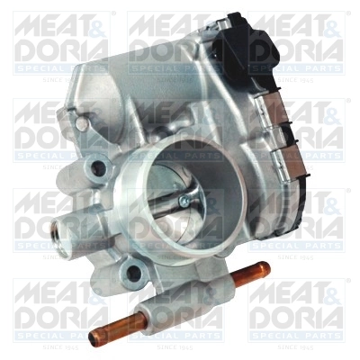 Throttle Body